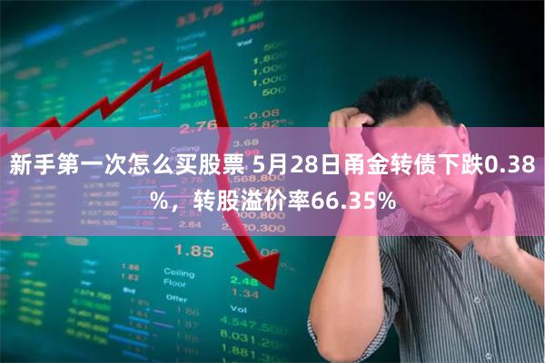 新手第一次怎么买股票 5月28日甬金转债下跌0.38%，转股溢价率66.35%