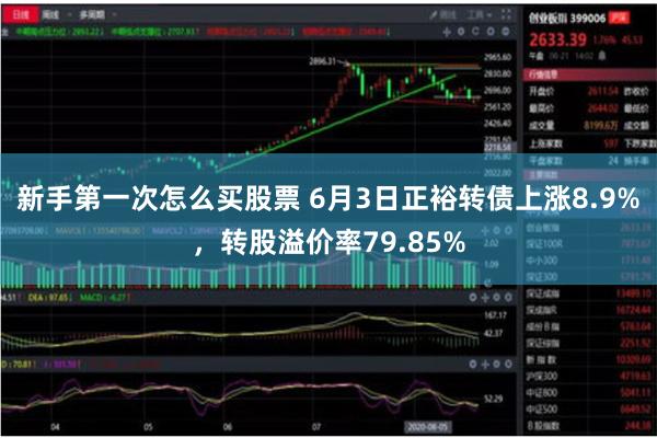 新手第一次怎么买股票 6月3日正裕转债上涨8.9%，转股溢价率79.85%