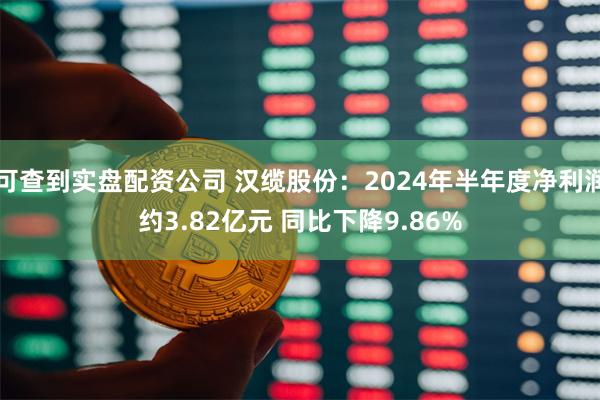 可查到实盘配资公司 汉缆股份：2024年半年度净利润约3.82亿元 同比下降9.86%