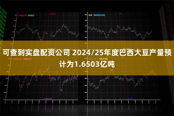 可查到实盘配资公司 2024/25年度巴西大豆产量预计为1.6503亿吨