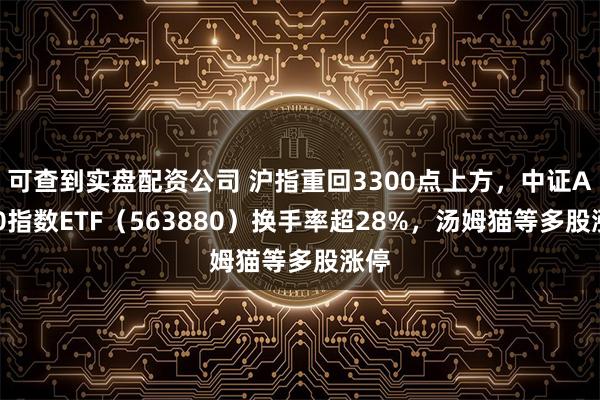 可查到实盘配资公司 沪指重回3300点上方，中证A500指数ETF（563880）换手率超28%，汤姆猫等多股涨停