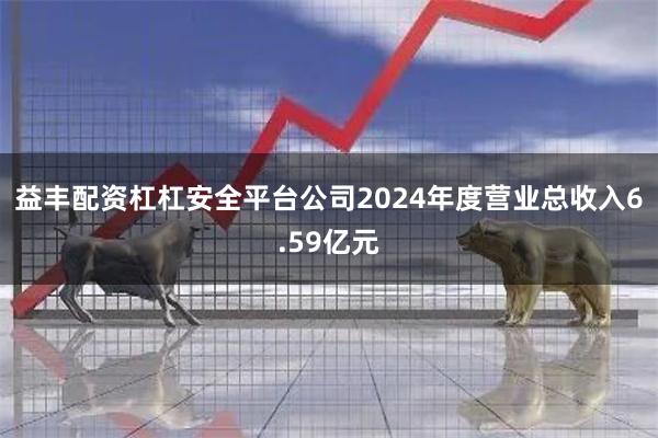 益丰配资杠杠安全平台公司2024年度营业总收入6.59亿元