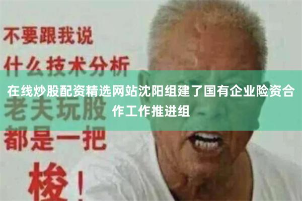 在线炒股配资精选网站沈阳组建了国有企业险资合作工作推进组